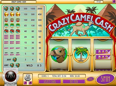 Play Crazy Camel Cash slot